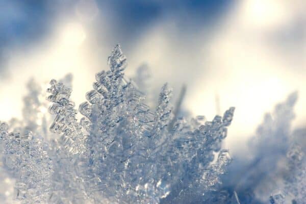 Eiskristalle fotografieren: Frostig-schöne Nahaufnahmen.